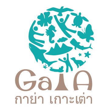 Gaia Koh Tao